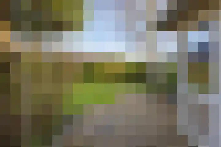 Achterweg 13 Bergen (NH) thumbnail 39