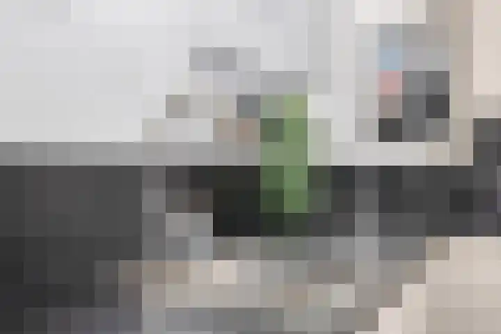 Achterweg 13 Herpt thumbnail 14