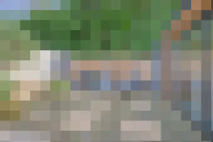 Achterweg 13 Herpt thumbnail 16