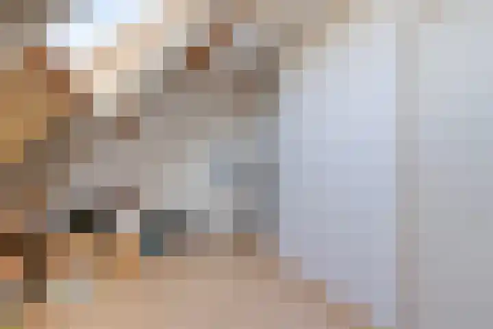 Achterweg 13 Herpt thumbnail 30