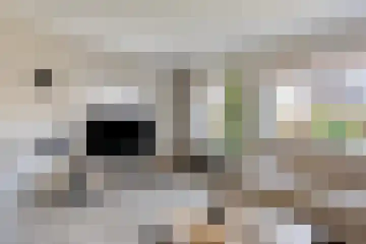 Achterweg 13 Herpt thumbnail 7