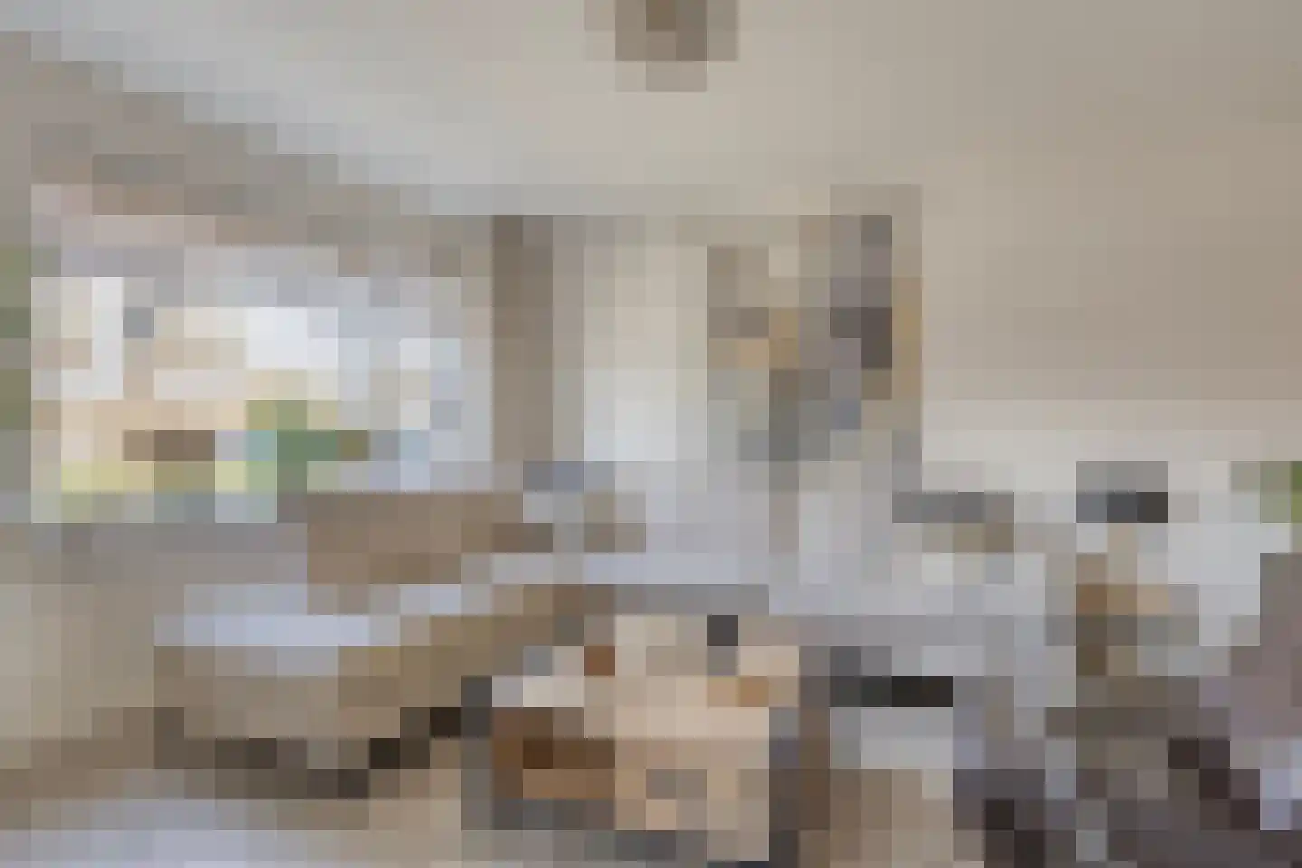 Achterweg 13 Herpt thumbnail 8
