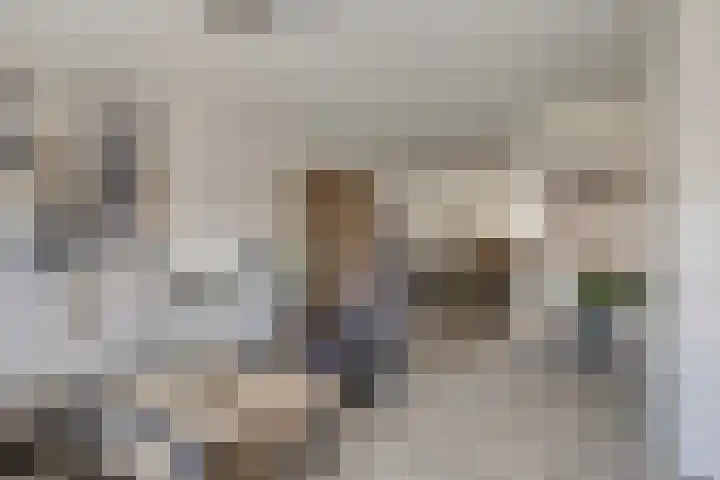 Achterweg 13 Herpt thumbnail 9