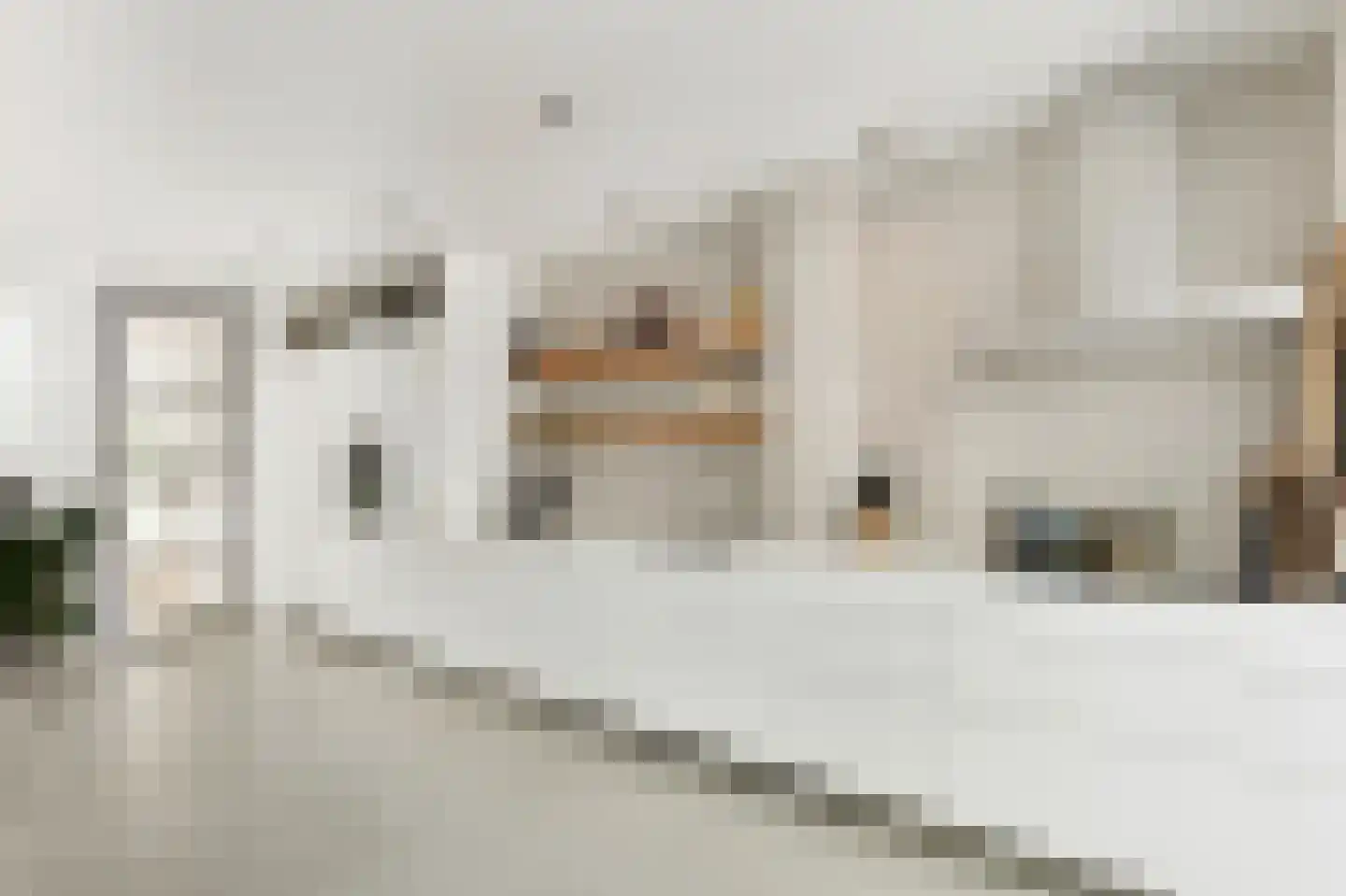 Achterweg 14 Haarlem thumbnail 12