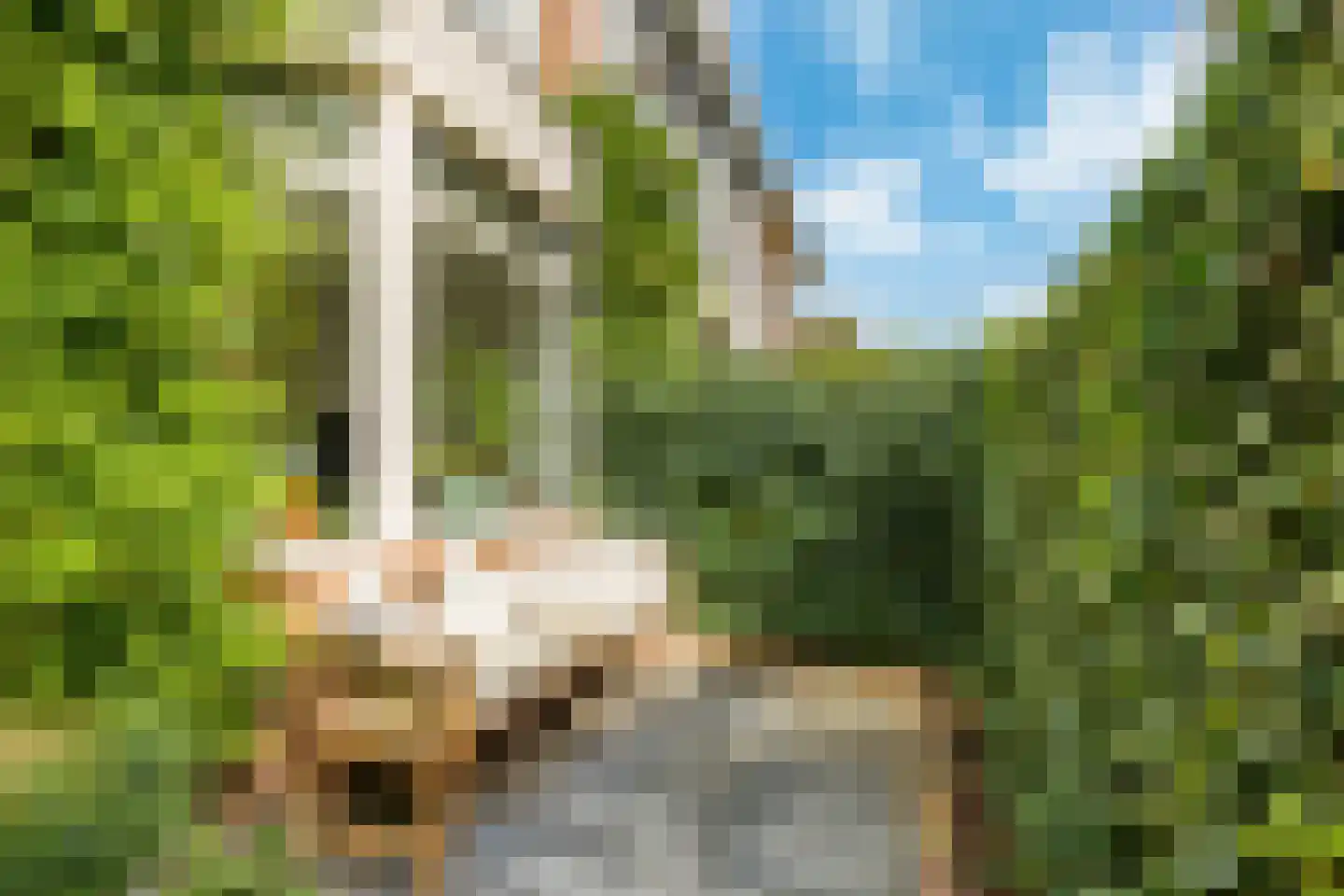 Achterweg 14 Haarlem thumbnail 6