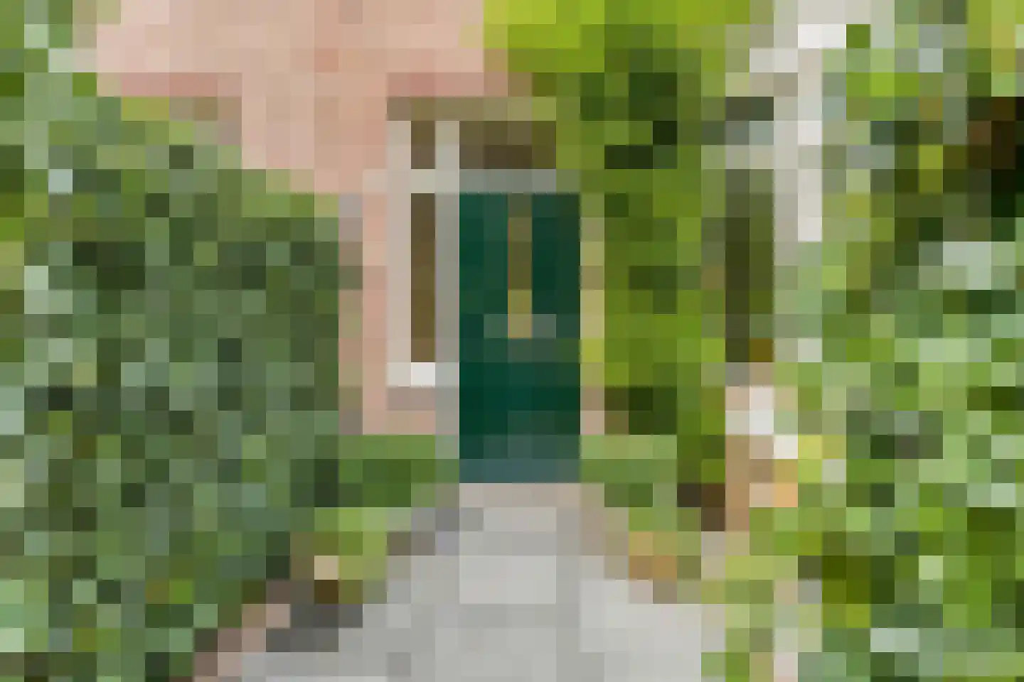Achterweg 14 Haarlem thumbnail 7
