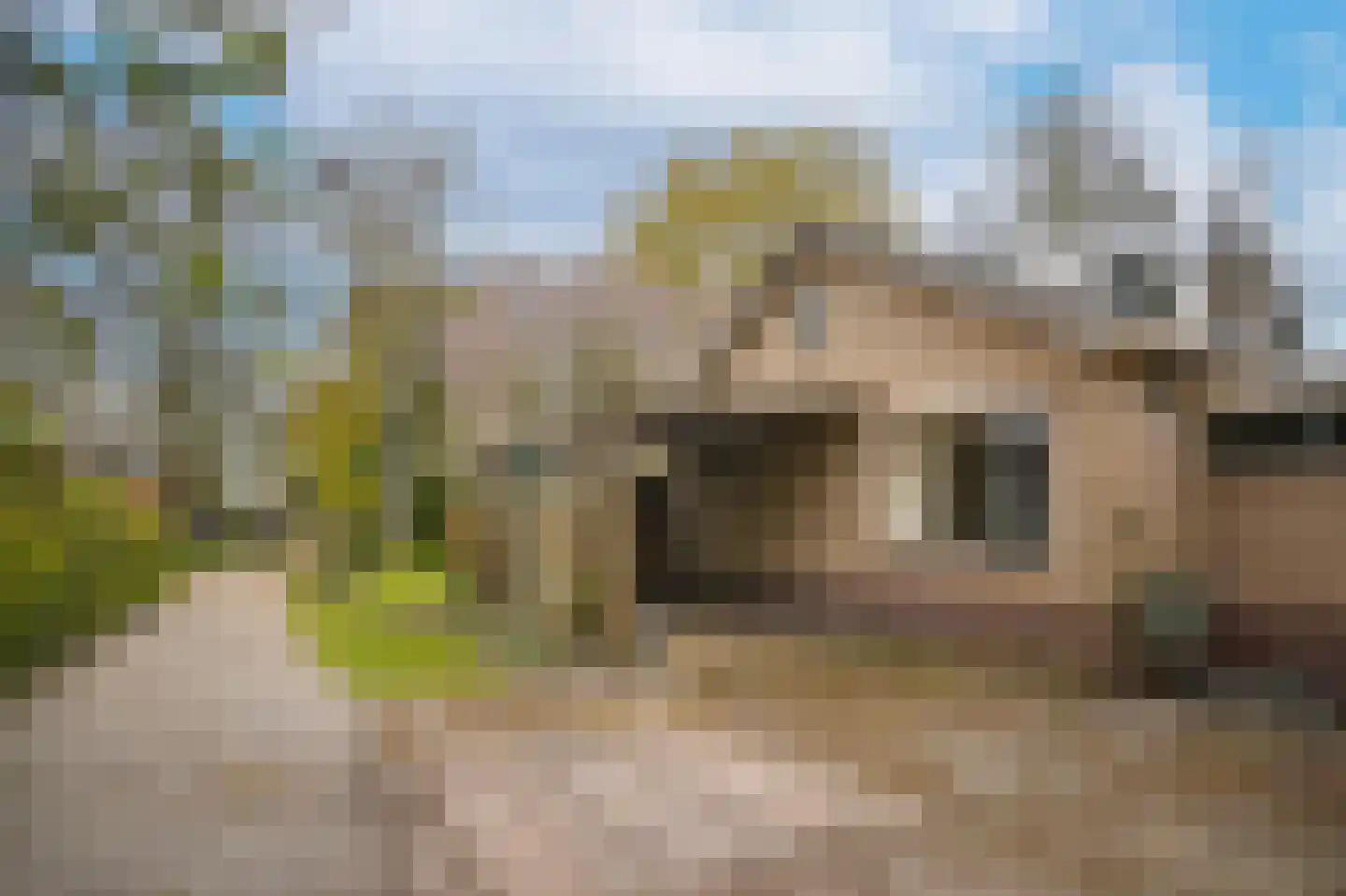 Achterweg 14 Heukelum thumbnail 34