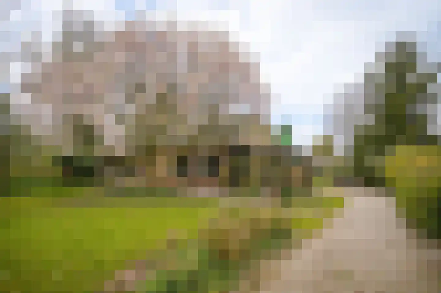 Achterweg 14 Heukelum thumbnail 35