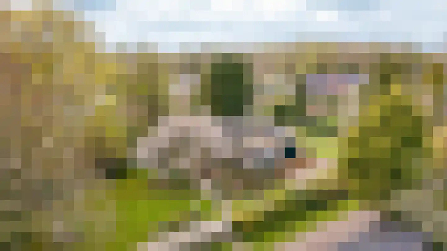 Achterweg 14 Heukelum thumbnail 36