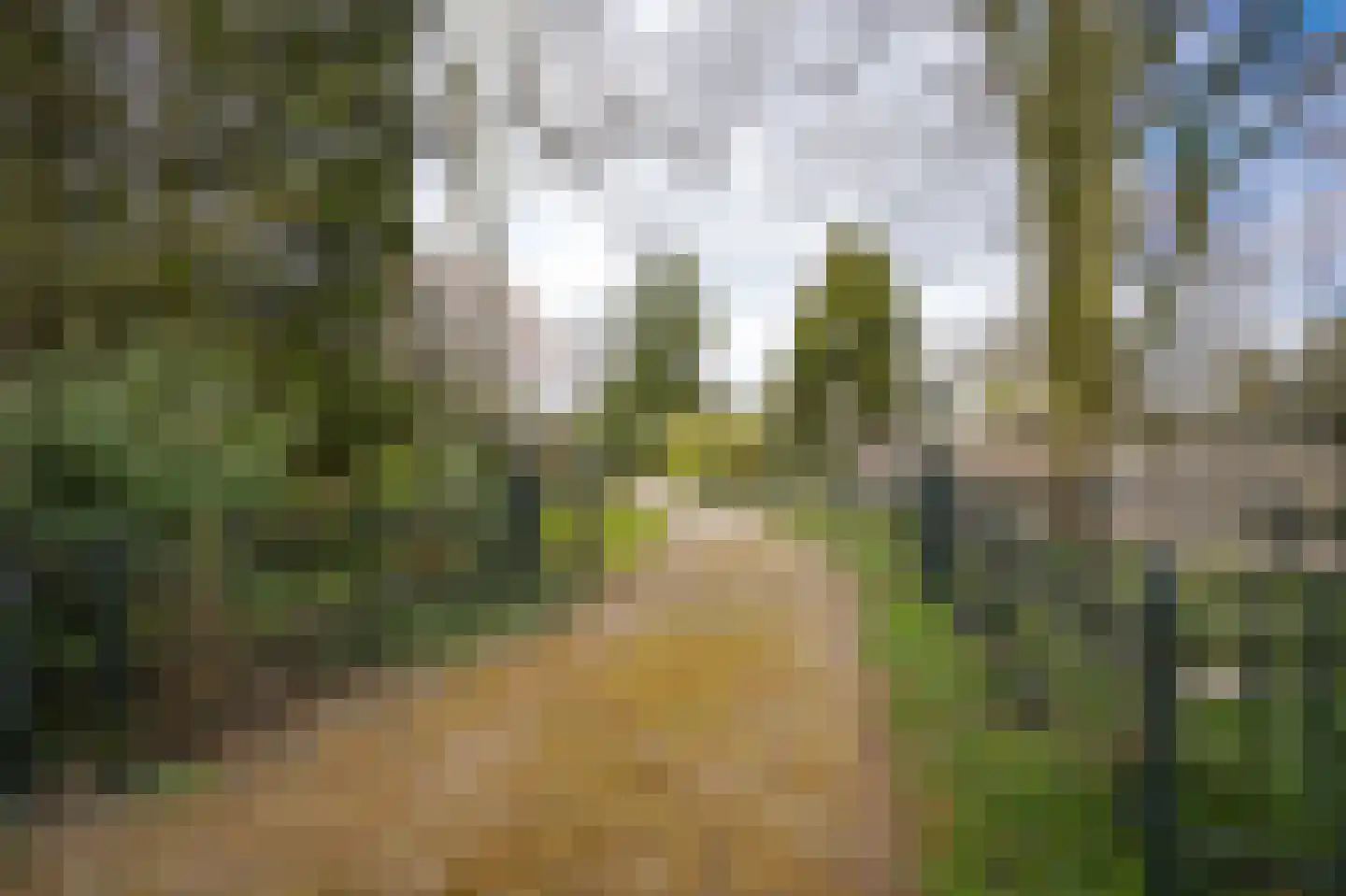 Achterweg 14 Heukelum thumbnail 37