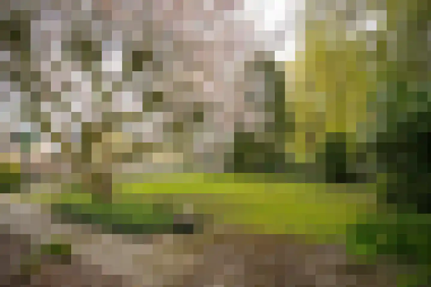 Achterweg 14 Heukelum thumbnail 4