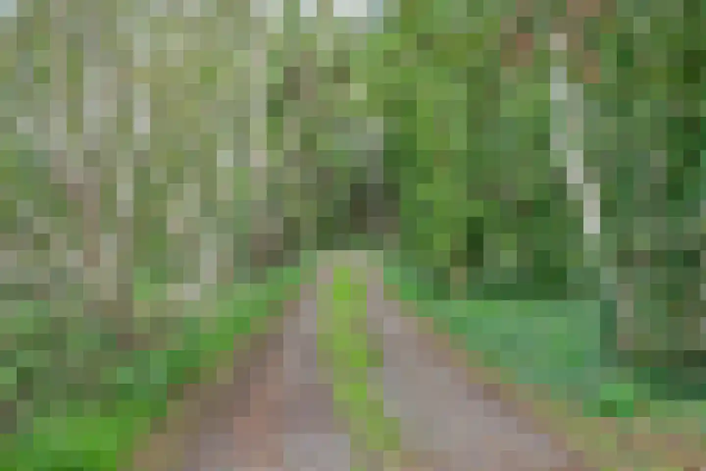 Achterweg 14 Odoornerveen thumbnail 10
