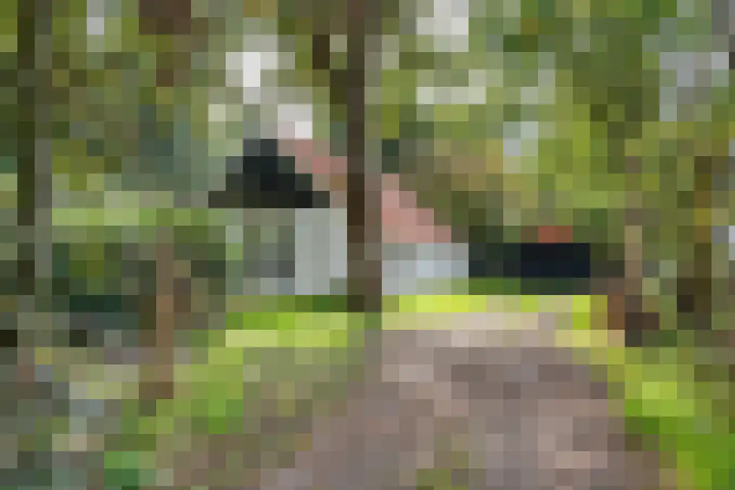 Achterweg 14 Odoornerveen thumbnail 11