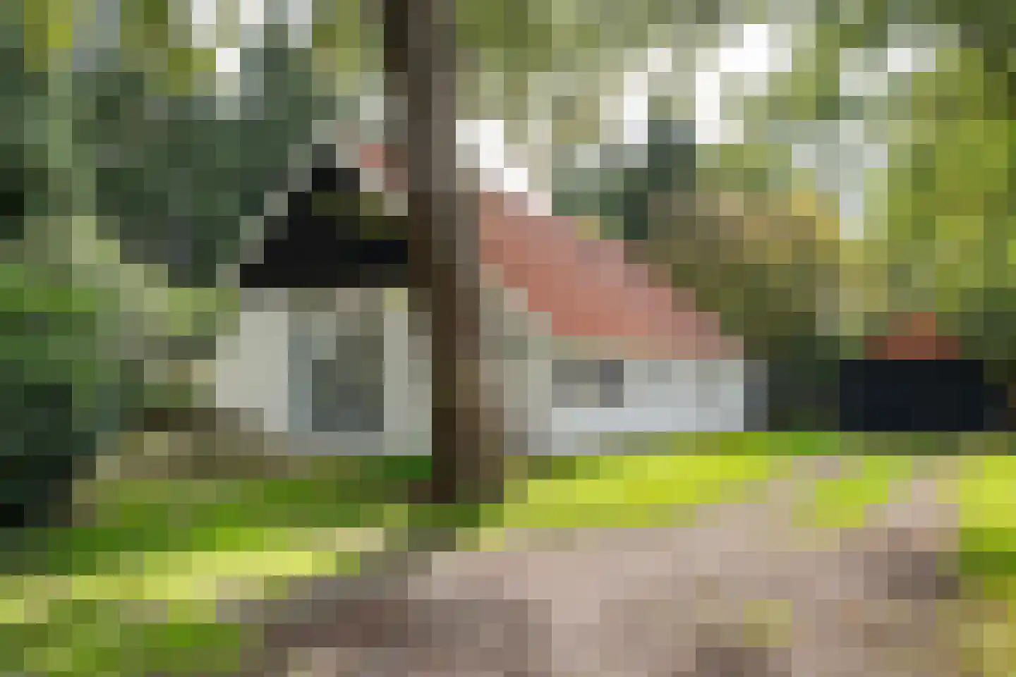 Achterweg 14 Odoornerveen thumbnail 12