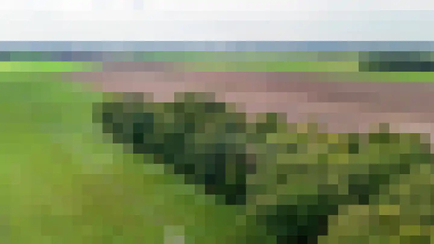 Achterweg 14 Odoornerveen thumbnail 4