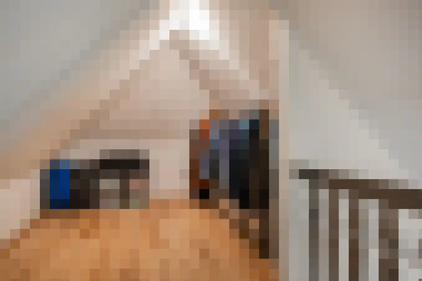 Achterweg 14 Odoornerveen thumbnail 46