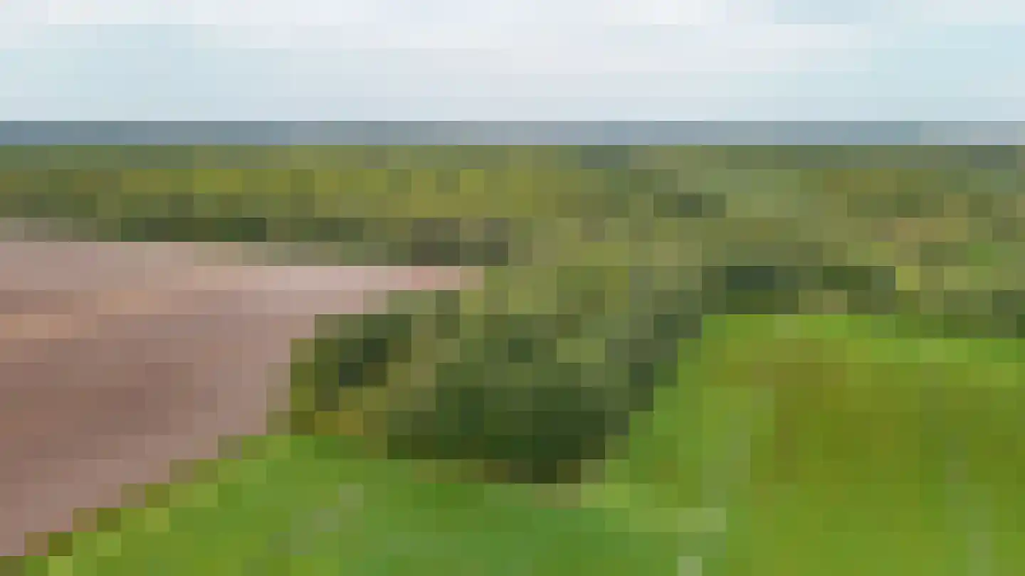 Achterweg 14 Odoornerveen thumbnail 5
