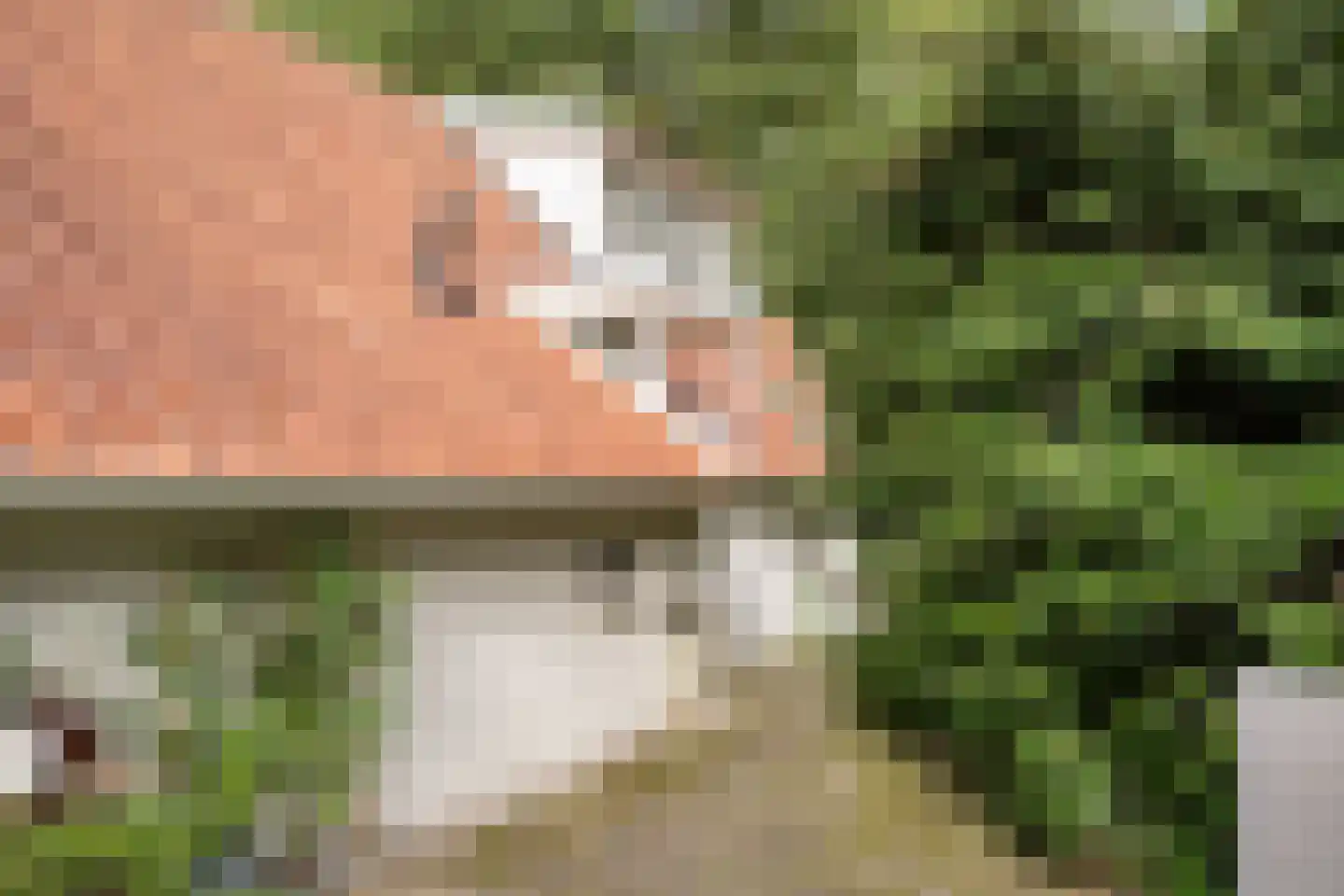 Achterweg 14 Odoornerveen thumbnail 51