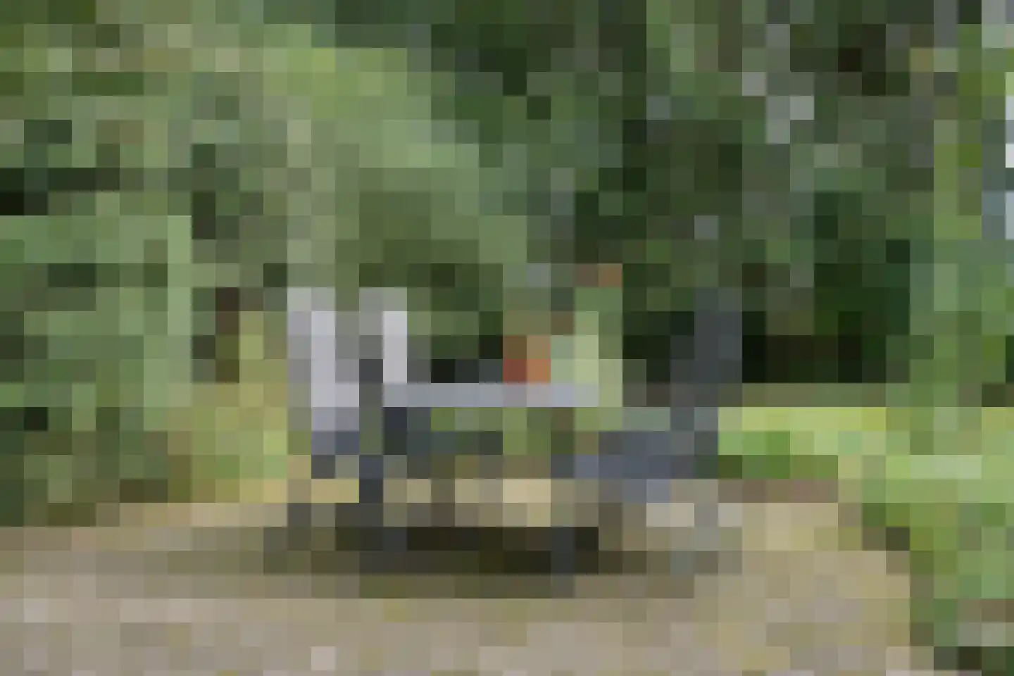 Achterweg 14 Odoornerveen thumbnail 53