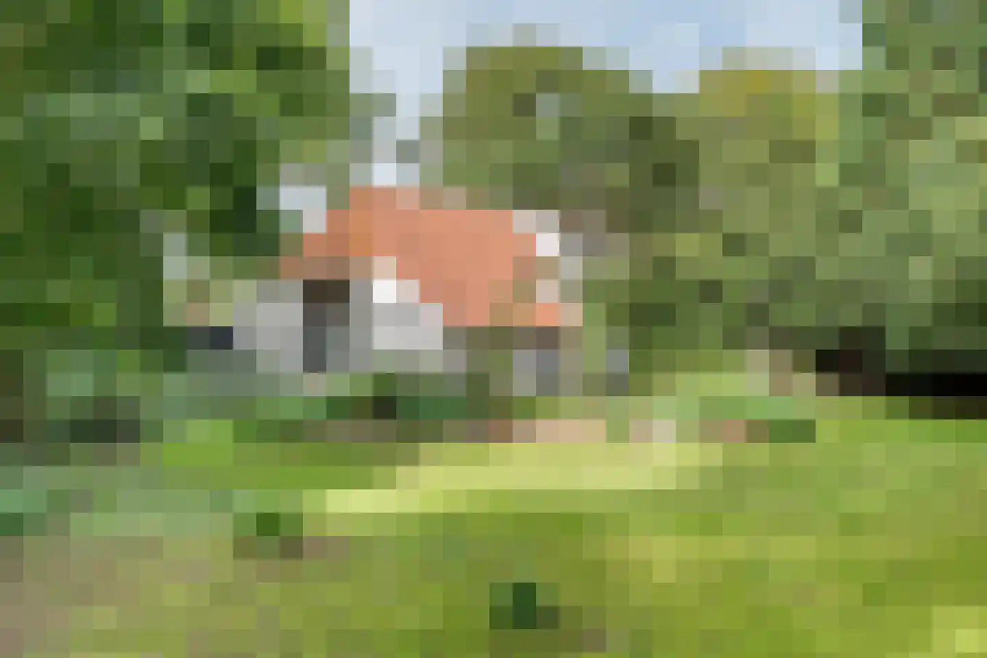 Achterweg 14 Odoornerveen thumbnail 54