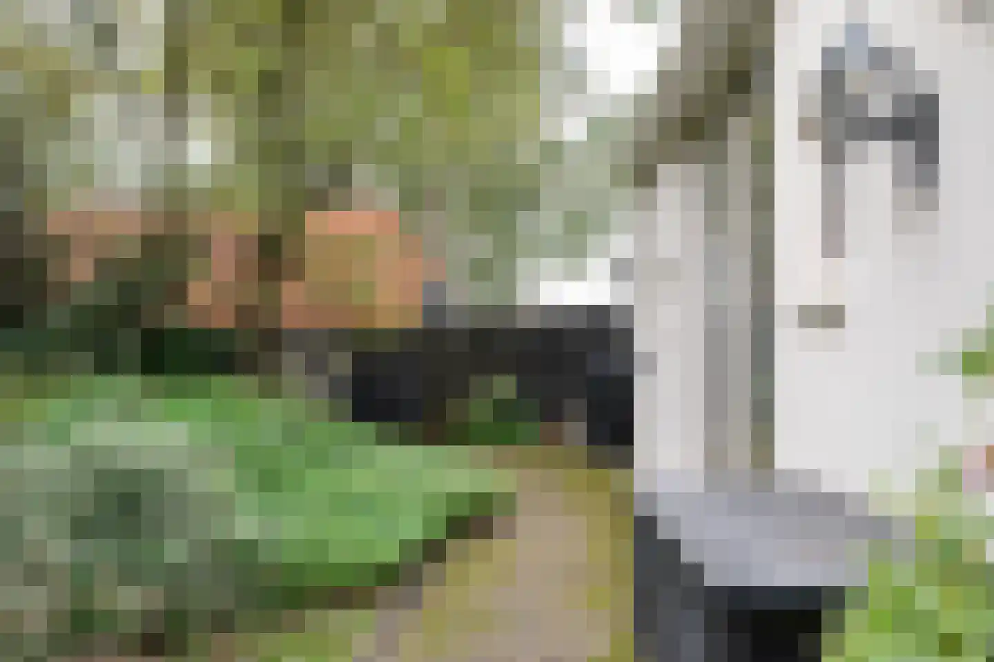 Achterweg 14 Odoornerveen thumbnail 55