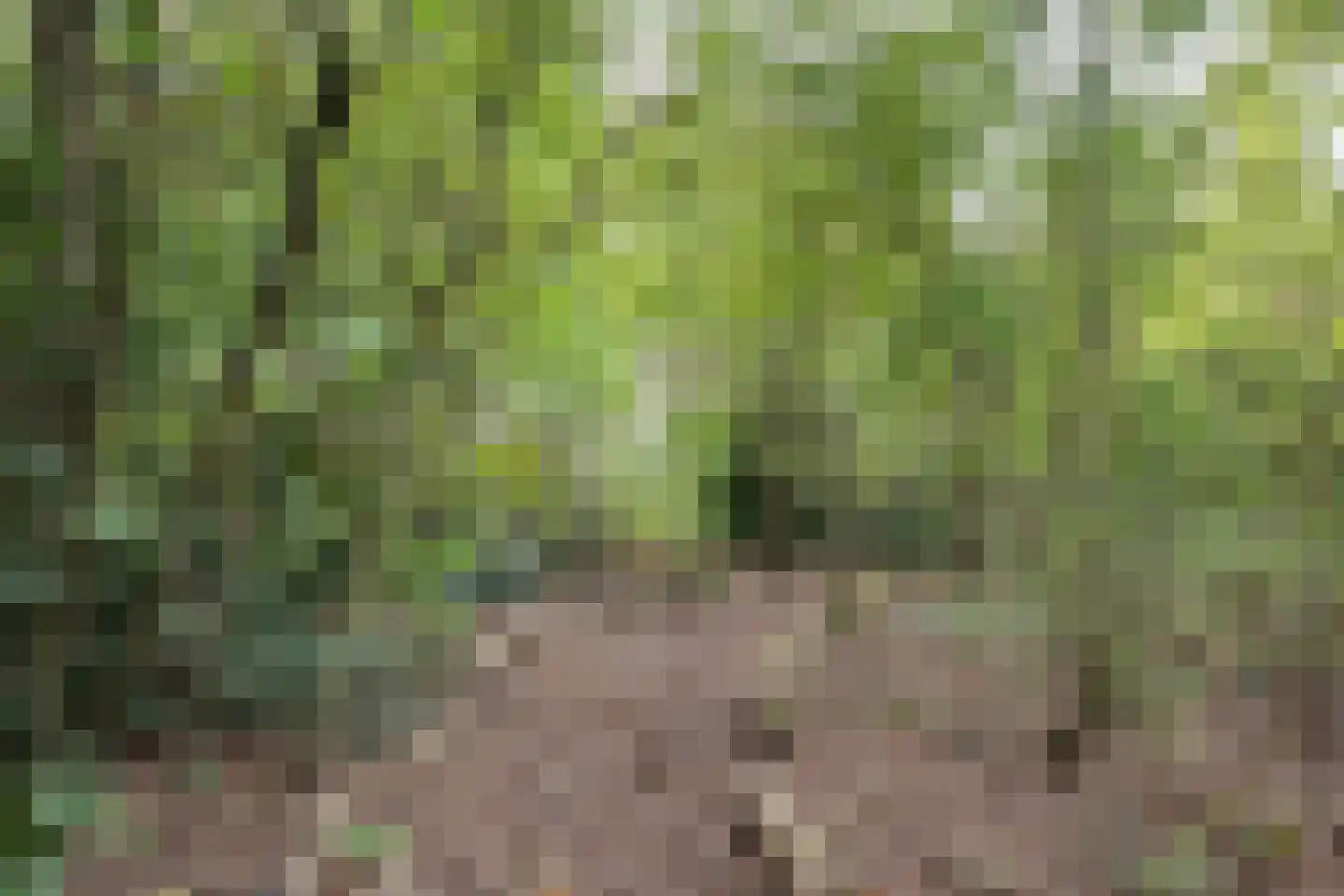 Achterweg 14 Odoornerveen thumbnail 57