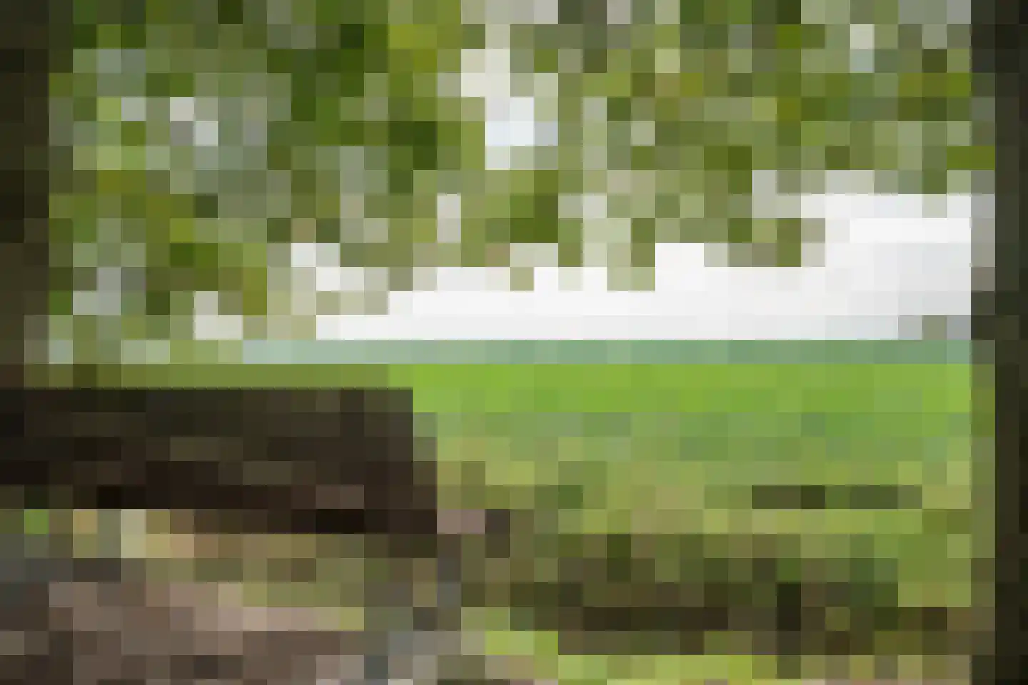 Achterweg 14 Odoornerveen thumbnail 58