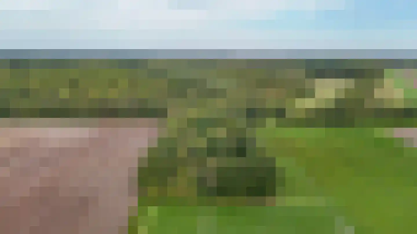 Achterweg 14 Odoornerveen thumbnail 6
