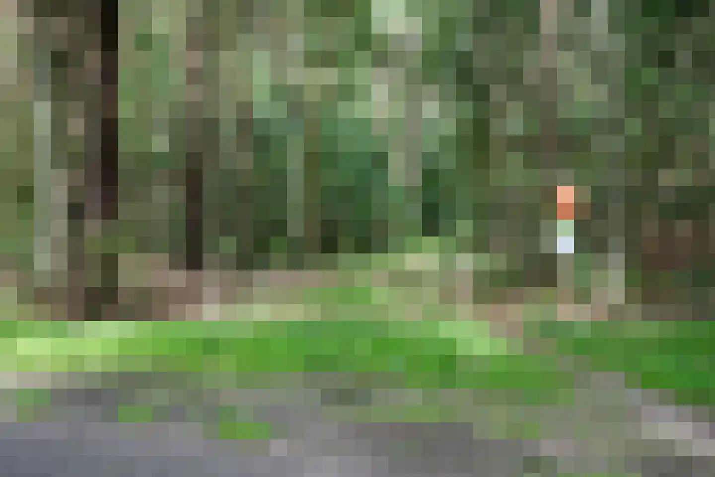 Achterweg 14 Odoornerveen thumbnail 60