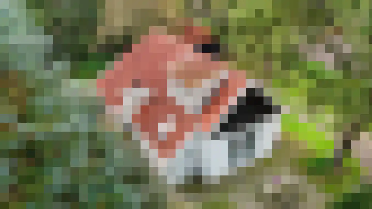 Achterweg 14 Odoornerveen thumbnail 7