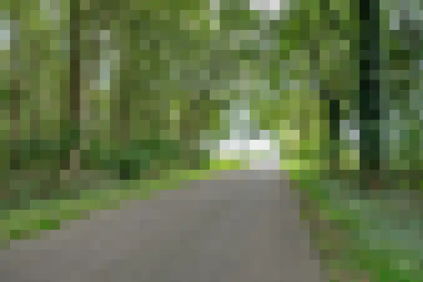 Achterweg 14 Odoornerveen thumbnail 8