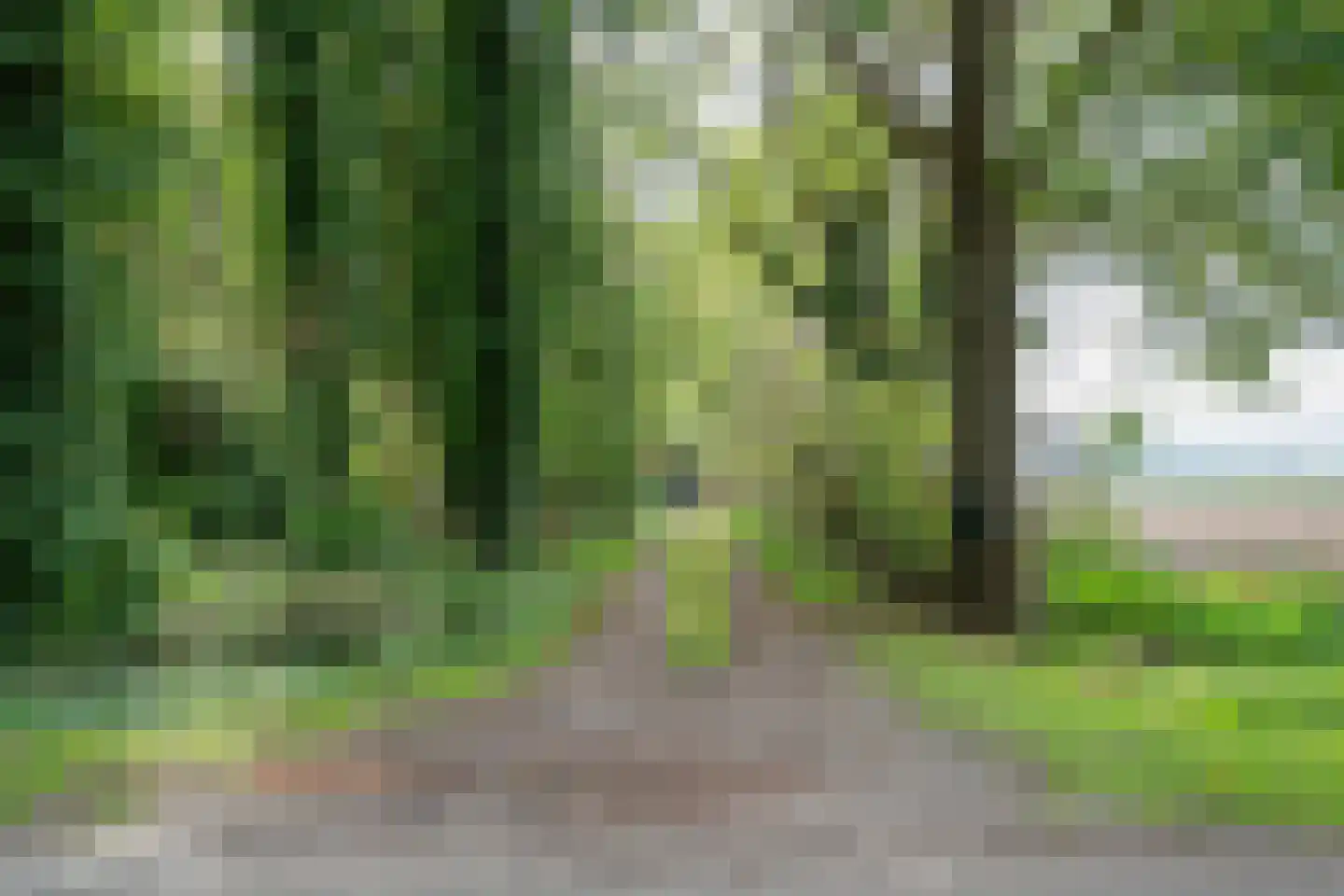 Achterweg 14 Odoornerveen thumbnail 9