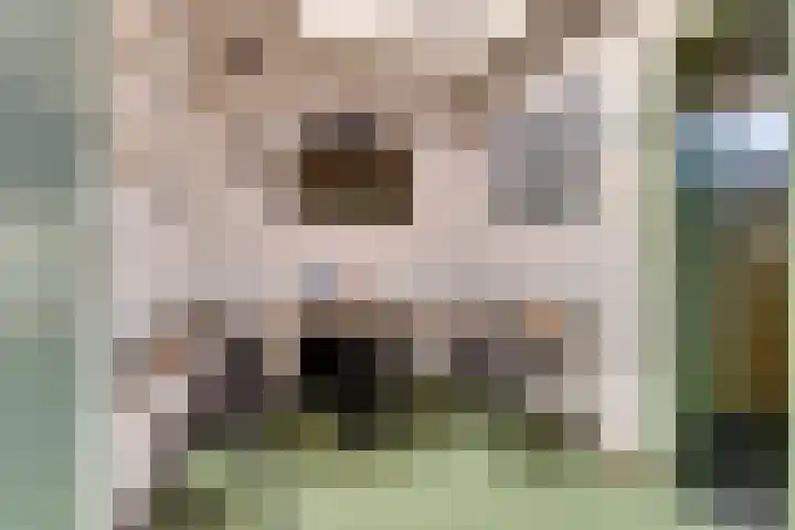 Achterweg 15 Heukelum thumbnail 10