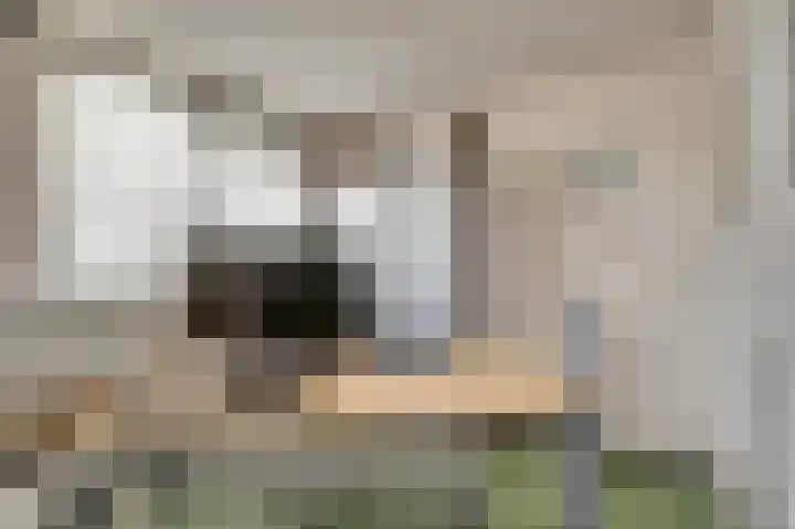 Achterweg 15 Heukelum thumbnail 22