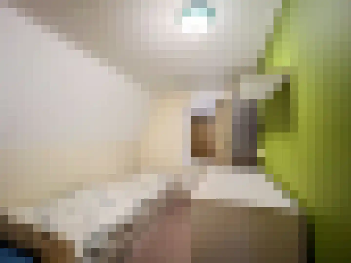 Achterweg 15 Hoofdplaat thumbnail 12
