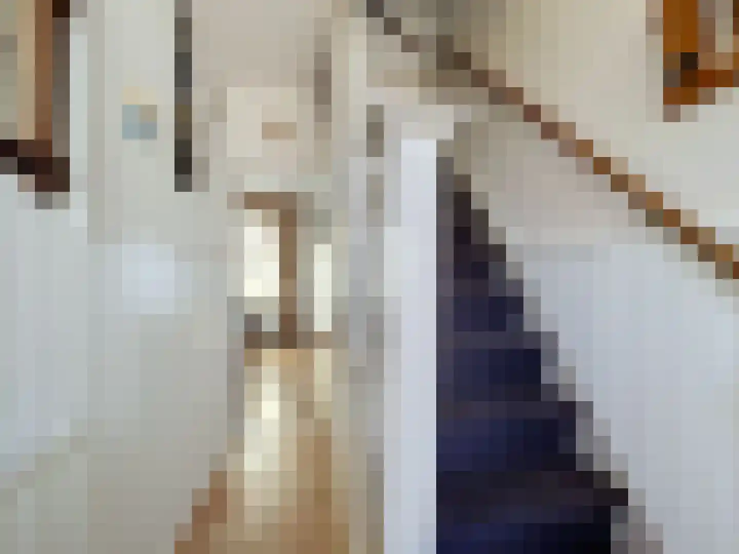 Achterweg 15 Hoofdplaat thumbnail 8