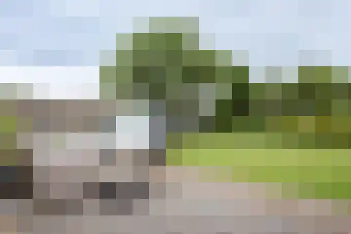 Achterweg 16 B Callantsoog thumbnail 18