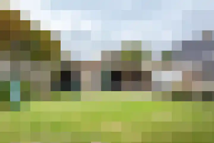 Achterweg 16 B Callantsoog thumbnail 19