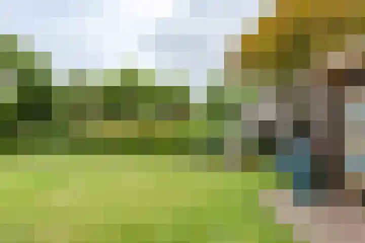 Achterweg 16 B Callantsoog thumbnail 20