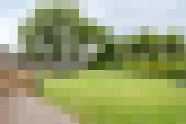 Achterweg 16 B Callantsoog thumbnail 21
