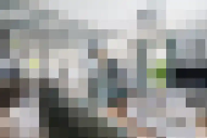 Achterweg 16 Ouddorp thumbnail 14