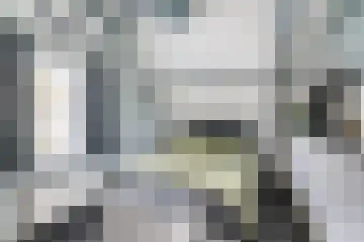 Achterweg 16 Ouddorp thumbnail 17