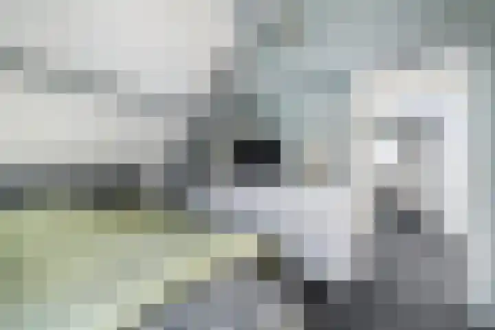 Achterweg 16 Ouddorp thumbnail 19