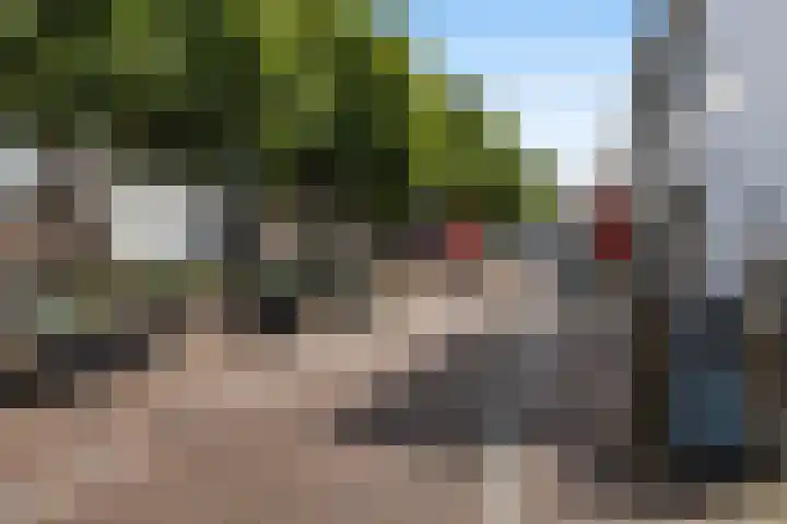 Achterweg 16 Ouddorp thumbnail 35