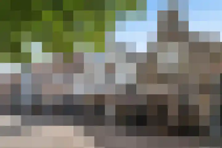 Achterweg 16 Ouddorp thumbnail 36