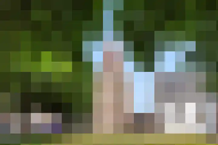 Achterweg 16 Ouddorp thumbnail 37