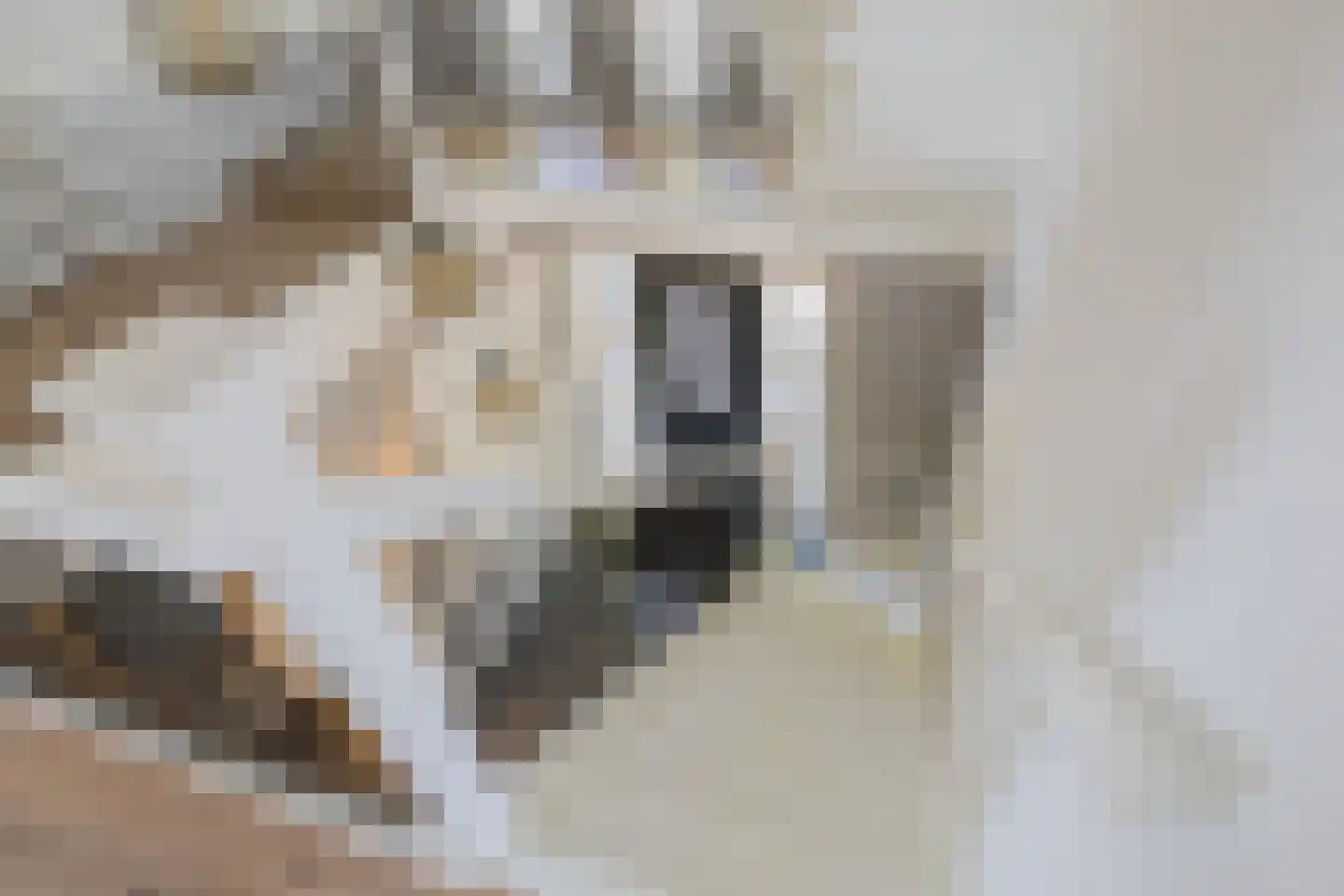 Achterweg 17 b Nieuwe Wetering thumbnail 40