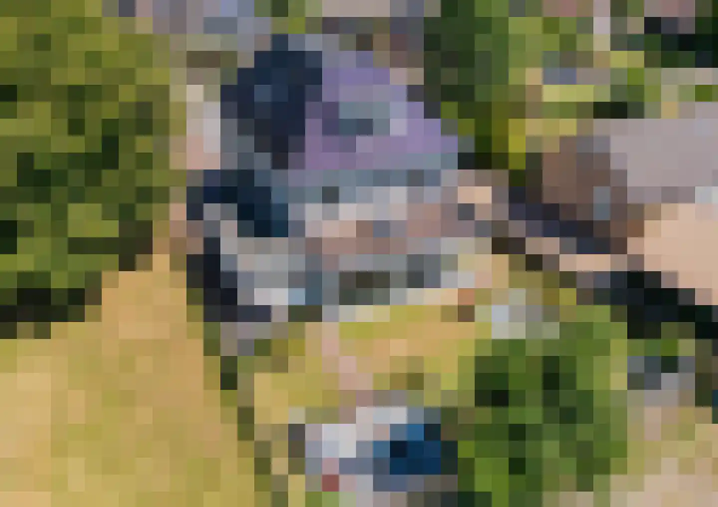 Achterweg 17 b Nieuwe Wetering thumbnail 72