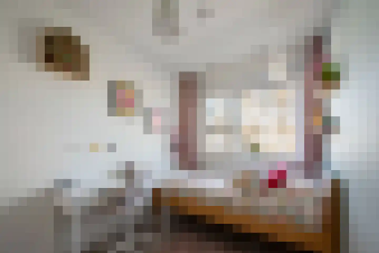 Achterweg 18 Haarlem thumbnail 28