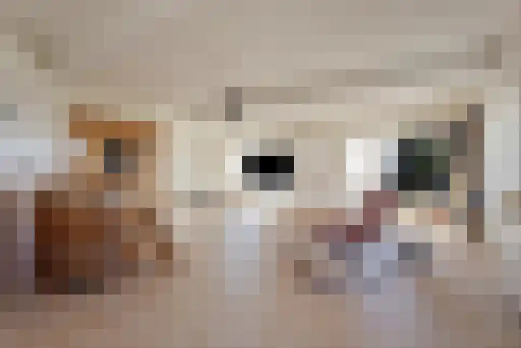 Achterweg 19 Nieuwe Wetering thumbnail 17